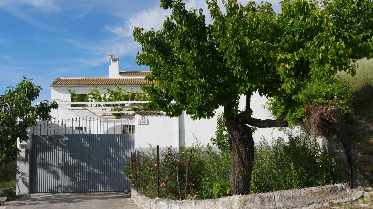 Holiday home Cortijo Linanes