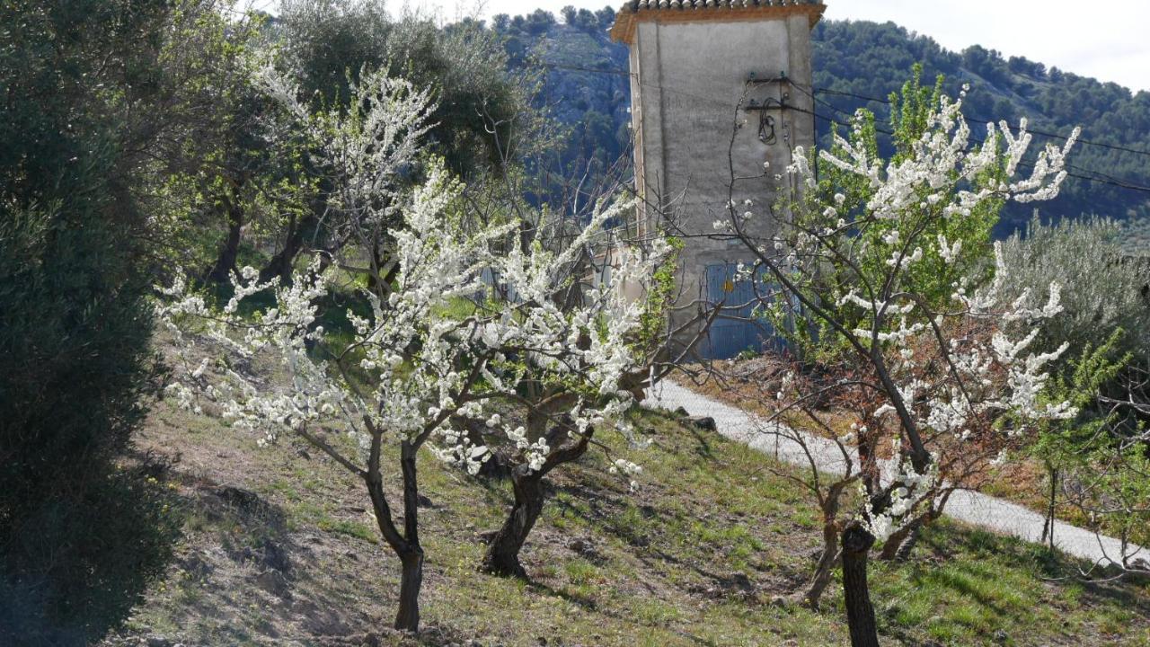 Cortijo Linanes Holiday home
